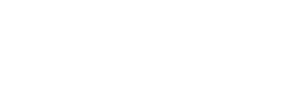 Steal and Style