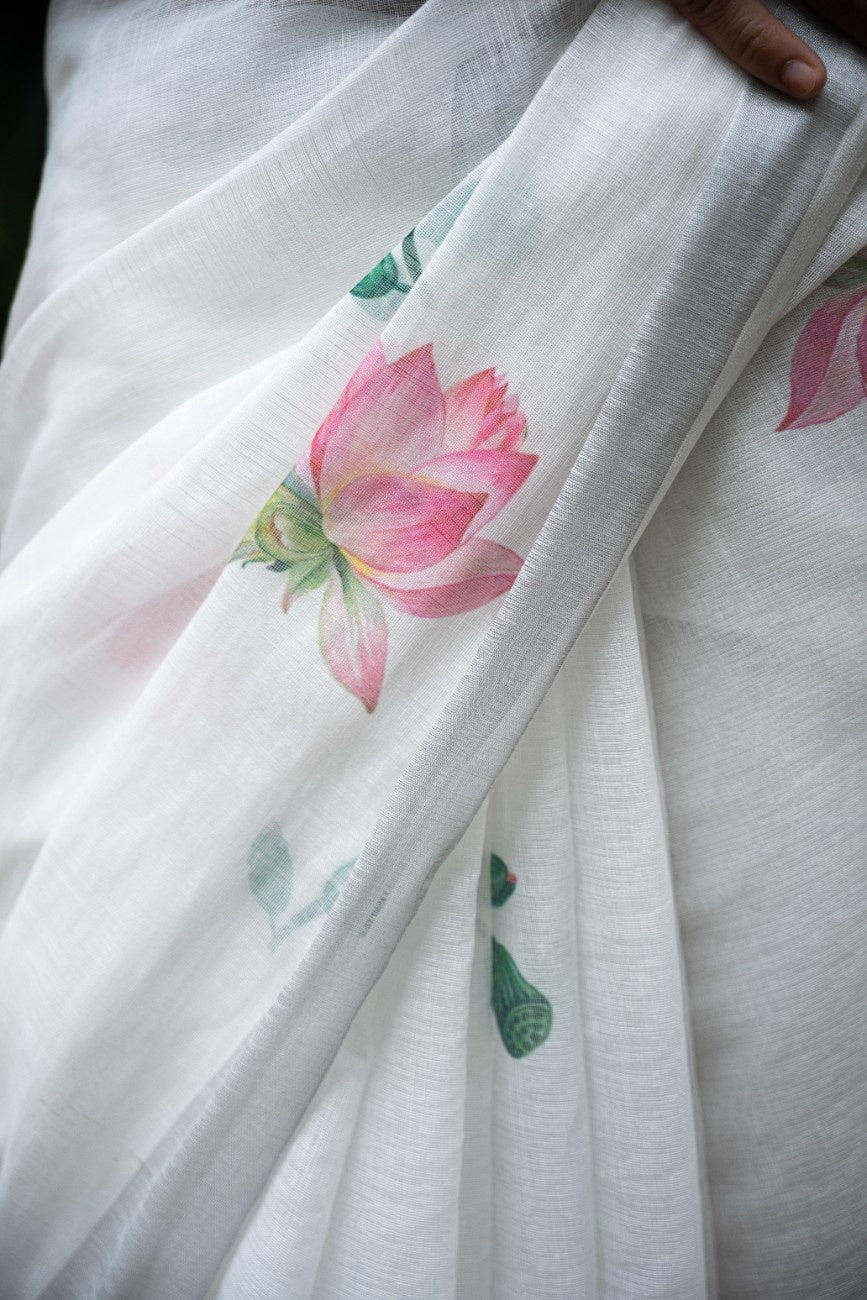 Ivory Lotus Bloom Cotton Saree